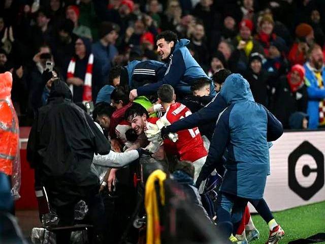 旺财28- 末路狂杀未删除版原版 