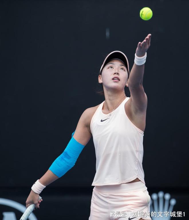 旺财28-莎拉波娃遭遇七连败，瑞士队教练面临压力！的简单介绍