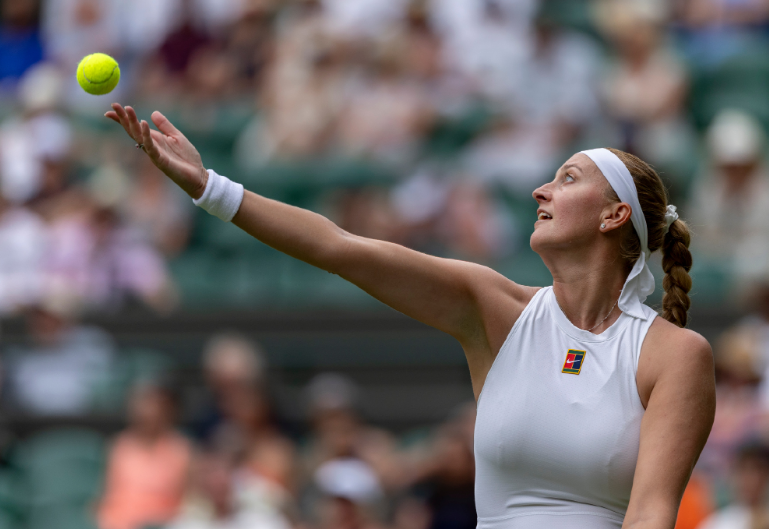 旺财28- 田国富为什么不怕沙瑞金 